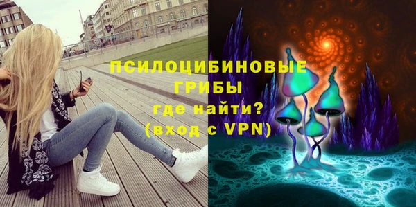 мескалин Ельня