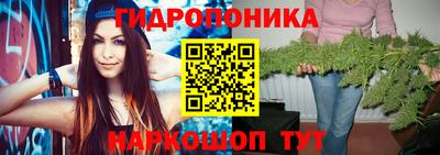 гашик Ирбит