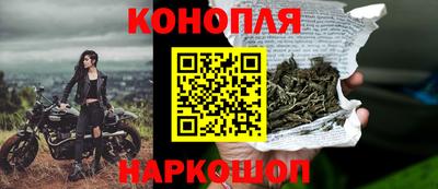 гашик Ирбит