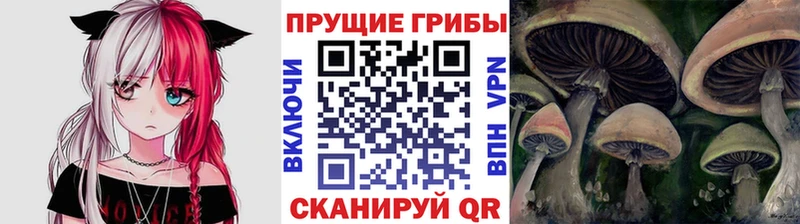 Псилоцибиновые грибы прущие грибы Миасс